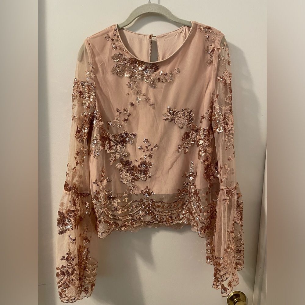 Stunning Sequin Embellished Blush Lined Mesh Top Size M